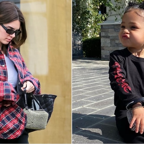 Alexander Wang heiress pouch in rhinestone mesh handbag silver AUTHENTIC - Picture 12 of 13